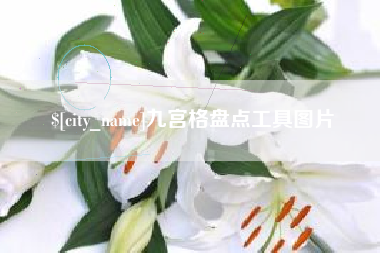 朝阳九宫格盘点工具图片