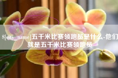 朝阳五千米比赛领跑员是什么-他们就是五千米比赛领跑员
