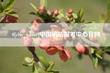 朝阳中国消防报考中心官网