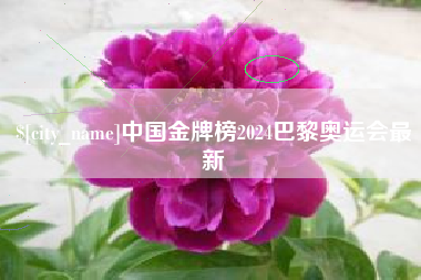 朝阳中国金牌榜2024巴黎奥运会最新