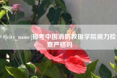 朝阳报考中国消防救援学院视力检查严格吗