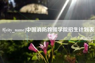 朝阳中国消防救援学院招生计划表