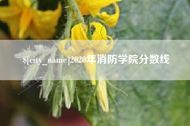 朝阳2020年消防学院分数线
