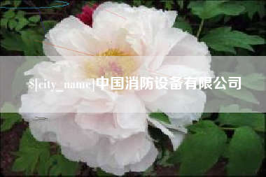 朝阳中国消防设备有限公司