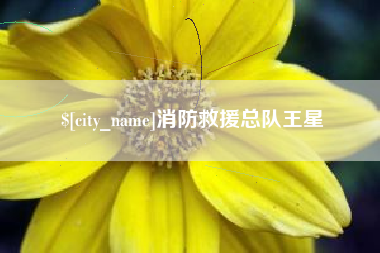 朝阳消防救援总队王星