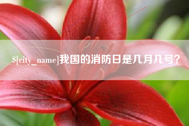 朝阳我国的消防日是几月几号？
