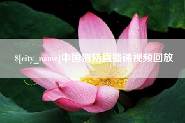 朝阳中国消防直播课视频回放