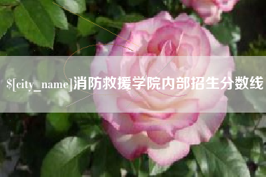 朝阳消防救援学院内部招生分数线