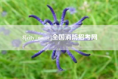 朝阳全国消防招考网