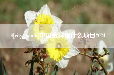 朝阳中国金牌是什么项目2024