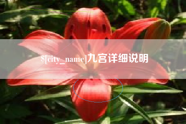 朝阳九宫详细说明