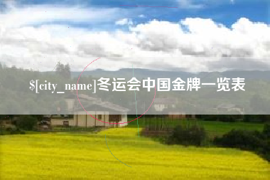 朝阳冬运会中国金牌一览表