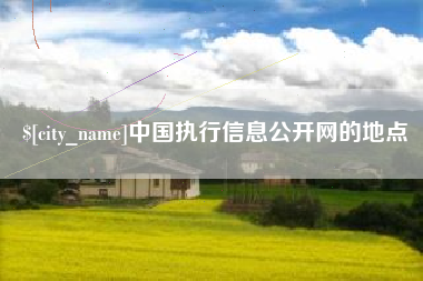 朝阳中国执行信息公开网的地点