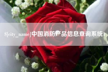 朝阳中国消防产品信息查询系统1
