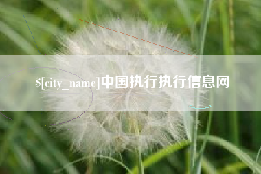 朝阳中国执行执行信息网