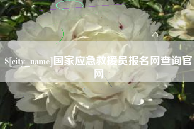 朝阳国家应急救援员报名网查询官网