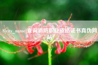 朝阳查询消防职业资格证书真伪网站