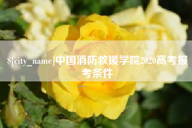 朝阳中国消防救援学院2020高考报考条件