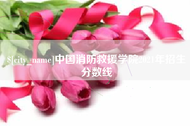 朝阳中国消防救援学院2021年招生分数线