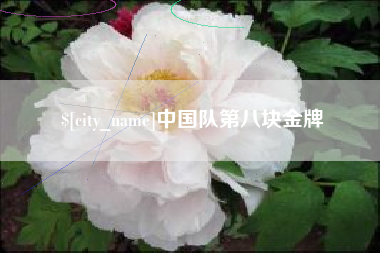朝阳中国队第八块金牌