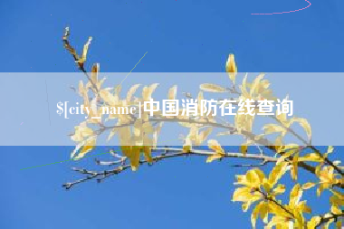 朝阳中国消防在线查询