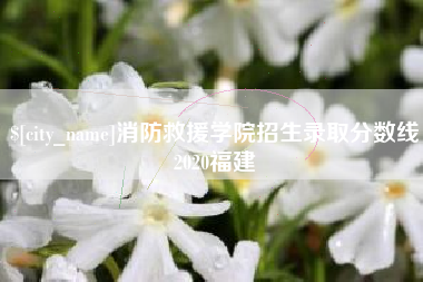 朝阳消防救援学院招生录取分数线2020福建