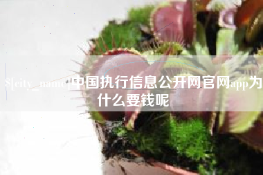 朝阳中国执行信息公开网官网app为什么要钱呢