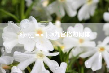 朝阳579九宫格如何排