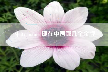 朝阳现在中国哪几个金牌