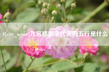 朝阳九宫格数字代表的五行是什么