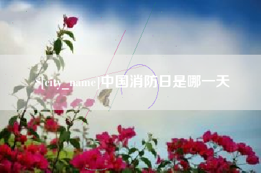 朝阳中国消防日是哪一天