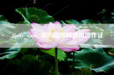 朝阳消防证国网查询操作证