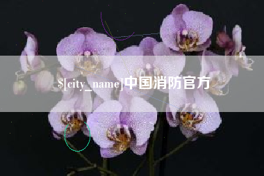 朝阳中国消防官方