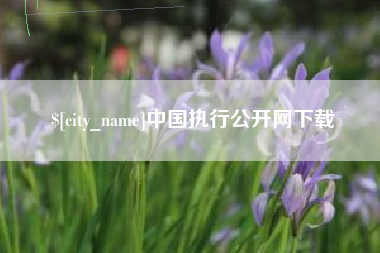朝阳中国执行公开网下载