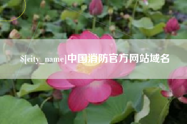 朝阳中国消防官方网站域名