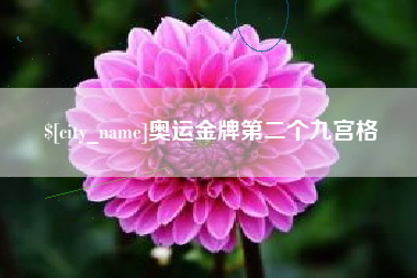 朝阳奥运金牌第二个九宫格