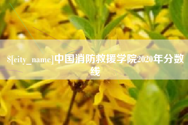 朝阳中国消防救援学院2020年分数线