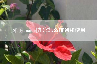 朝阳九宫怎么排列和使用