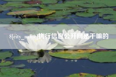 朝阳执行信息公开网是干嘛的