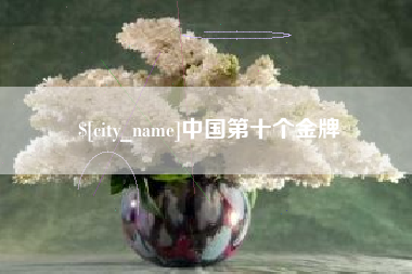 朝阳中国第十个金牌