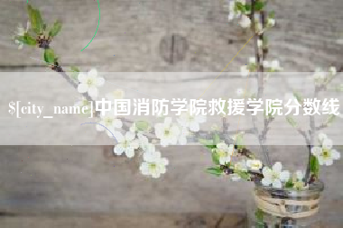 朝阳中国消防学院救援学院分数线