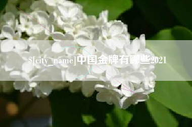 朝阳中国金牌有哪些2021