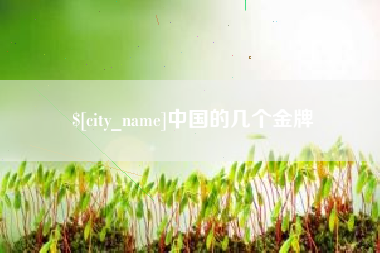 朝阳中国的几个金牌