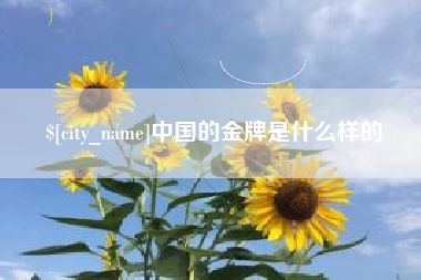 朝阳中国的金牌是什么样的
