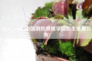 朝阳中国消防救援学院招生章程公布!
