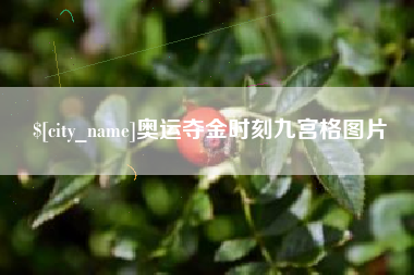 朝阳奥运夺金时刻九宫格图片