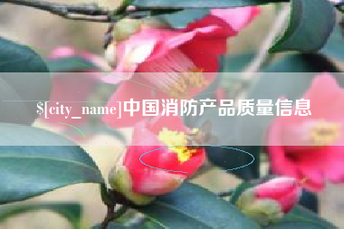 朝阳中国消防产品质量信息