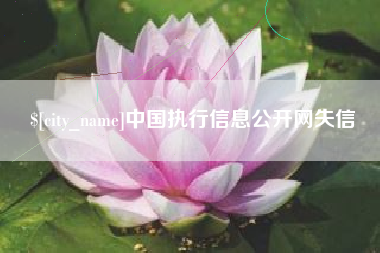 朝阳中国执行信息公开网失信