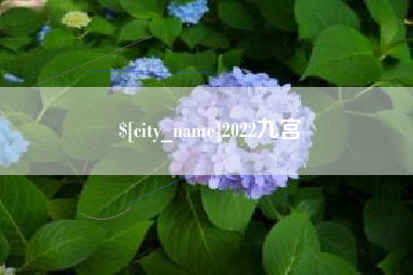 朝阳2022九宫