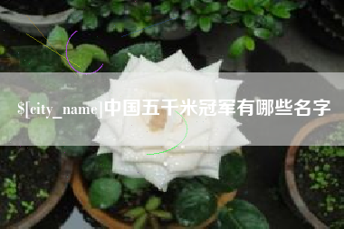 朝阳中国五千米冠军有哪些名字